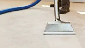 Carpet cleaning wand head gliding over a light carpet during hot-water extraction, Charleston, SC.