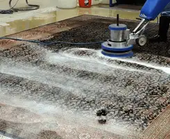 Professional rug cleaning with a rotary floor machine and shampoo foam, deep-cleaning an area rug, in Charleston, SC.
