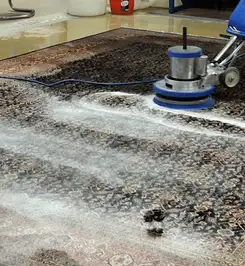Professional rug cleaning with a rotary floor machine and shampoo foam, deep-cleaning an area rug Charleston, SC.